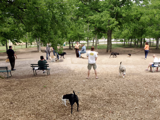 Centennial Dog Park